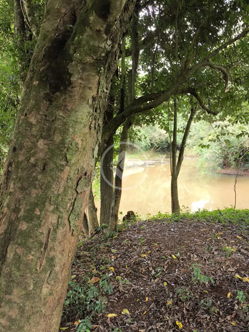 Imagem 1 - Chácara em Interior, Guatambú - SC