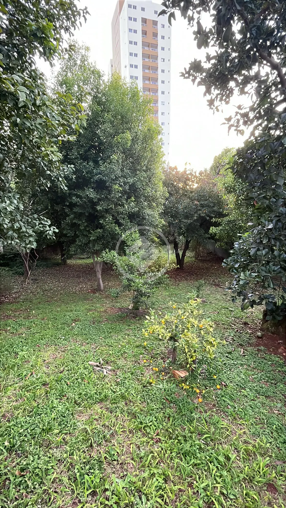 Imagem 1 - Terreno em Líder, Chapecó - SC