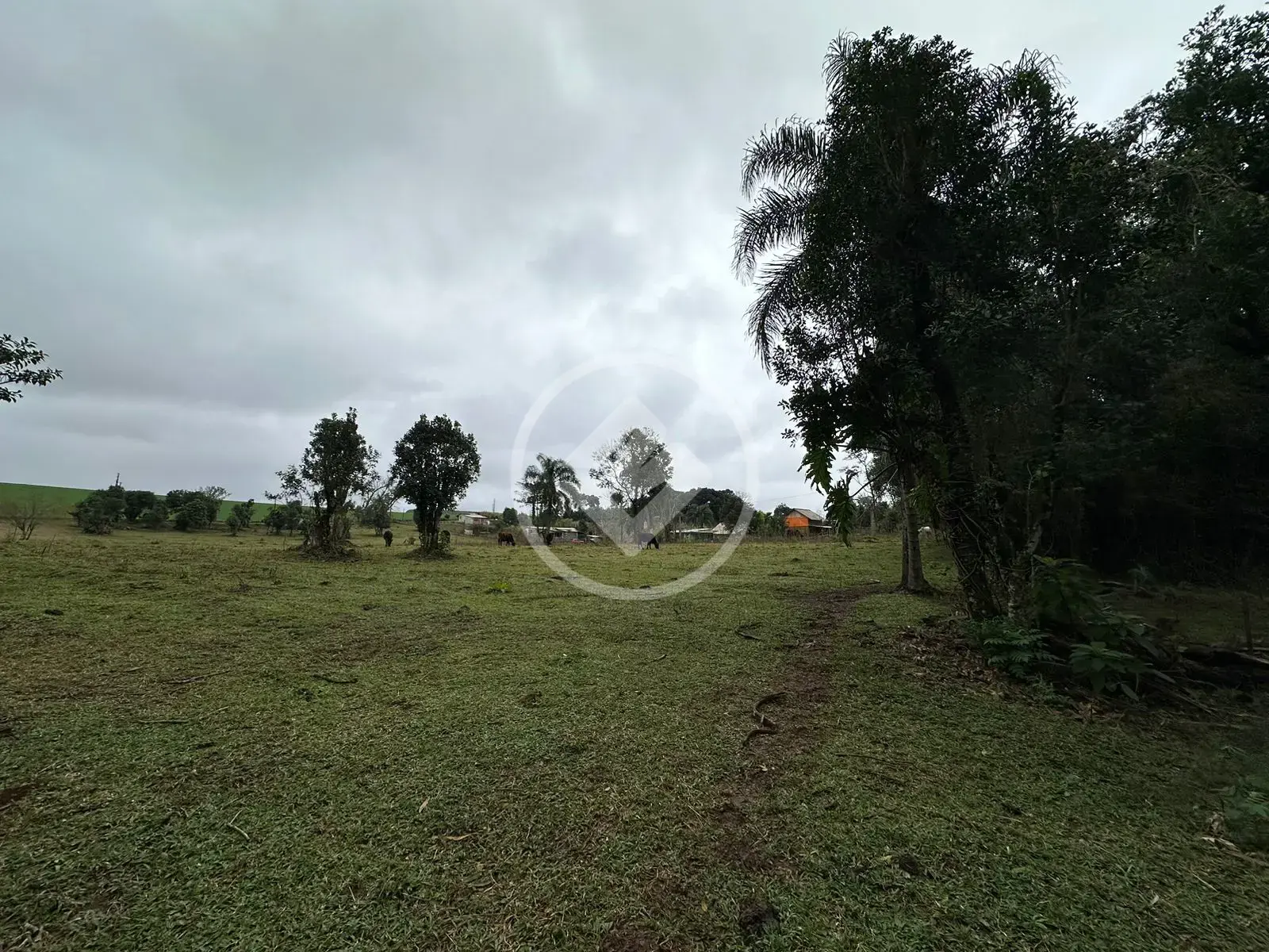 Imagem 1 - Chácara em Interior, Guatambú - SC