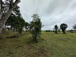Chácara Interior, Guatambú - SC — foto 2