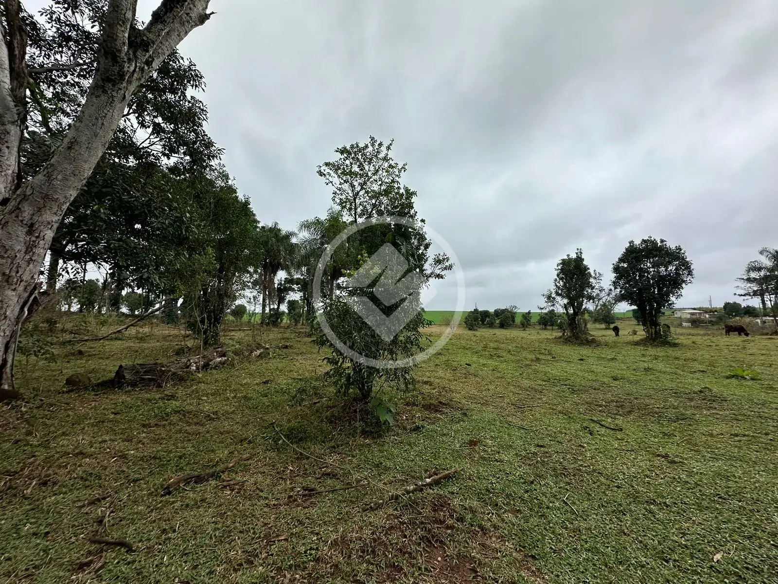 Imagem 1 - Chácara em Interior, Guatambú - SC
