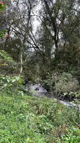 Imagem 2 - Chácara em Interior, Guatambú - SC