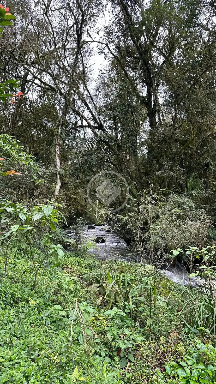 Imagem 2 - Chácara em Interior, Guatambú - SC