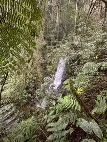 Imagem 3 - Chácara em Interior, Guatambú - SC