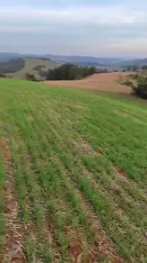 Sítio Linha Guatapará, Guaraciaba - SC — foto 2