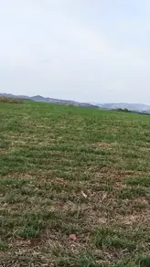 Imagem 3 - Sítio em Linha Guatapará, Guaraciaba - SC
