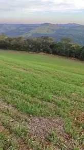 Sítio Linha Guatapará, Guaraciaba - SC — foto 1