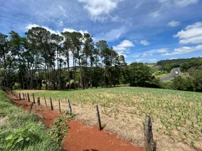 Imagem 3 - Sítio em Trevo, Chapecó - SC