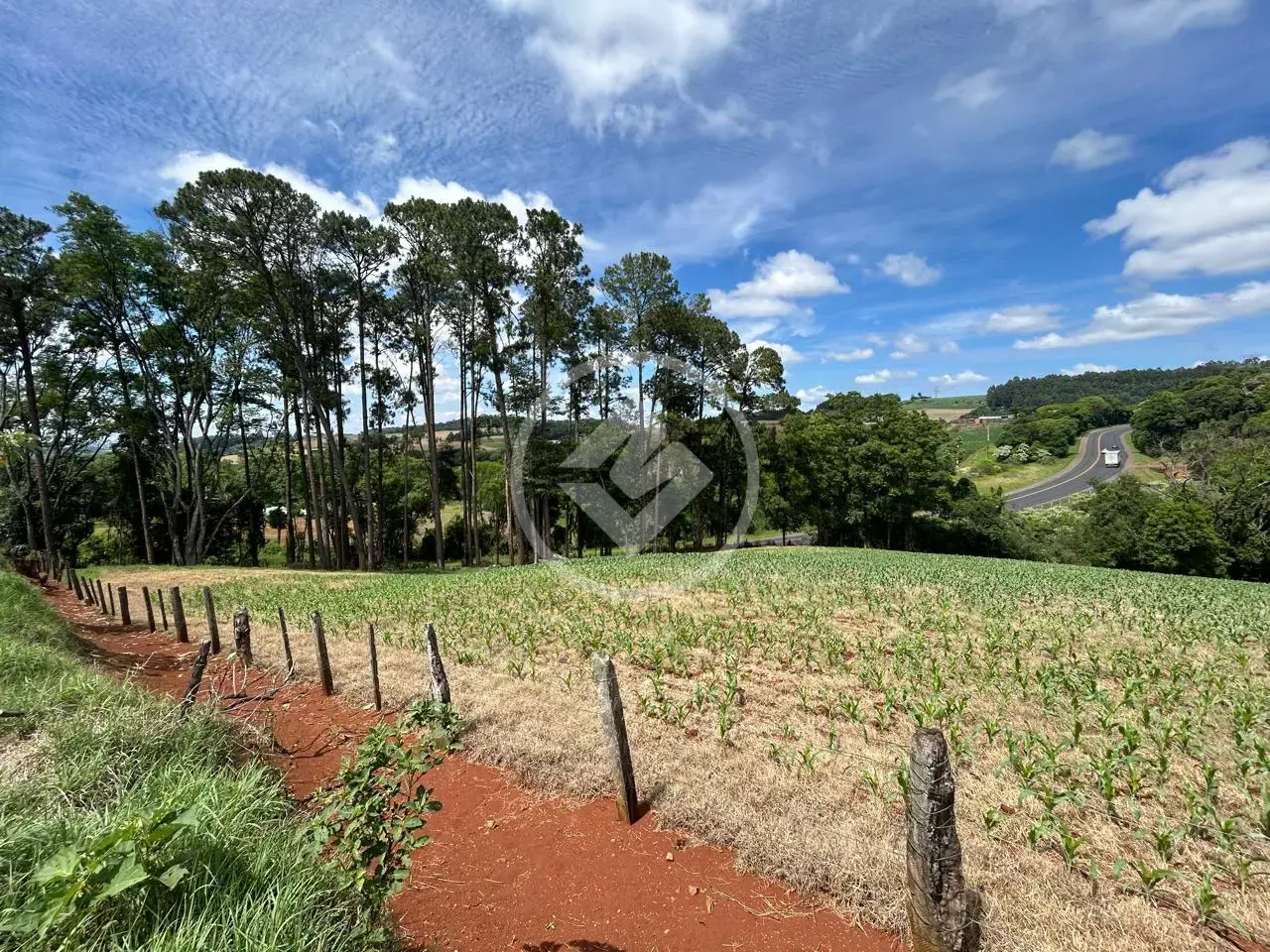 Imagem 3 - Sítio em Trevo, Chapecó - SC