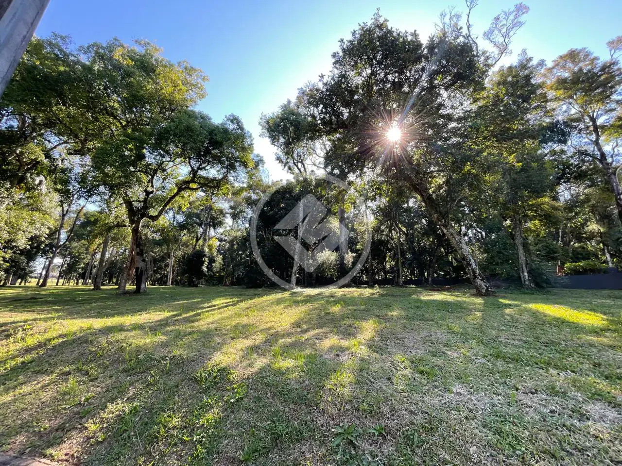 Imagem 1 - Terreno em Rua c  1560, Guatambú - SC