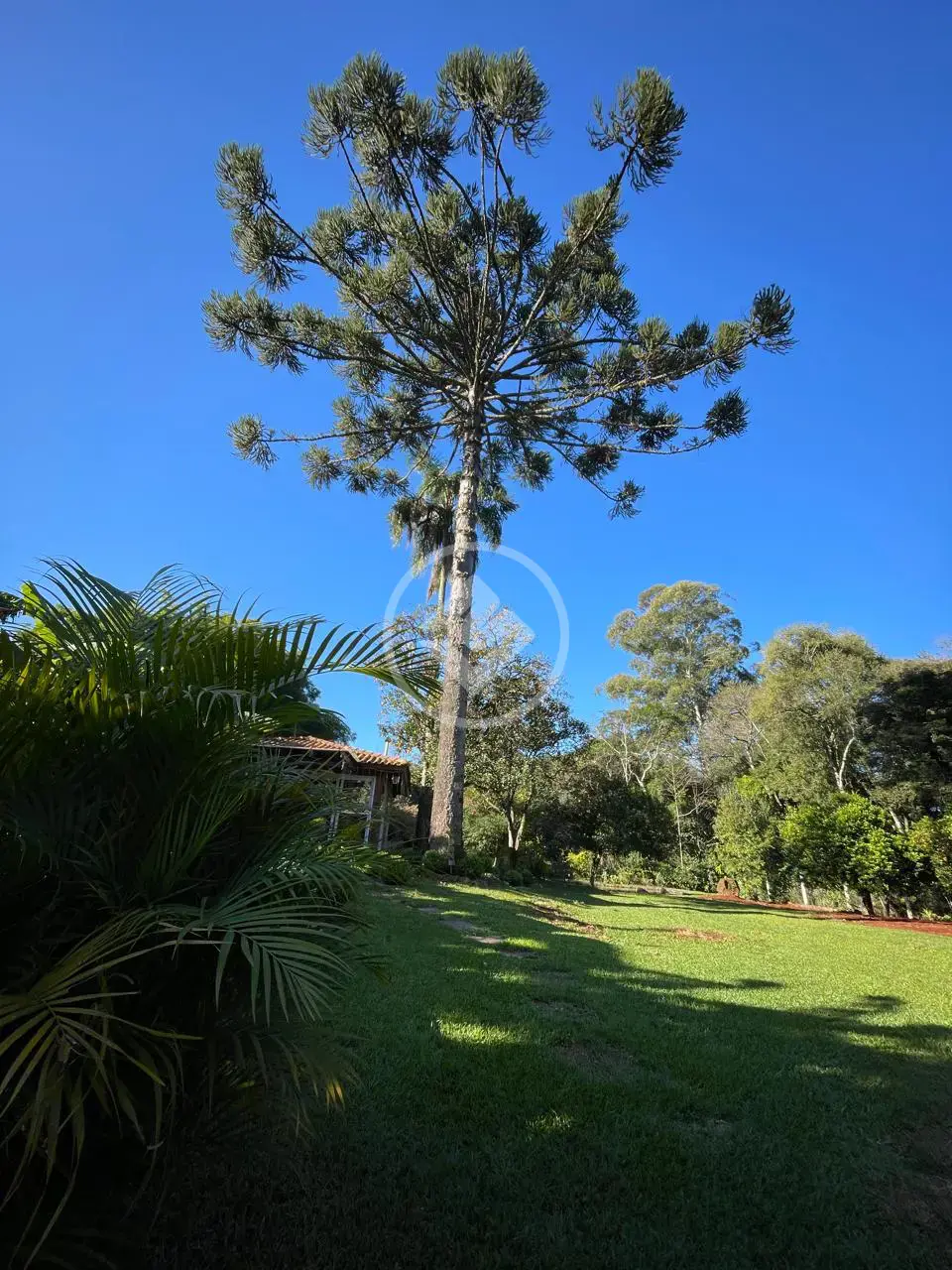 Imagem 1 - Casa em Centro (Marechal Bormann), Chapecó - SC