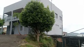 Imagem 2 - Kitnet / Conjugado em Presidente Médici, Chapecó - SC