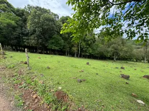 Imagem 2 - Terreno em Parque Das Palmeiras, Chapecó - SC