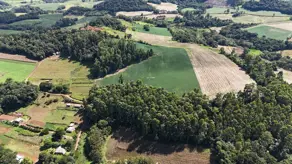 Imagem 2 - Chácara em Engenho Braun, Chapecó - SC
