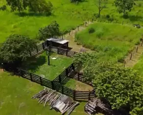 Fazenda PONTE NOVA, Várzea Grande - MT — foto 1