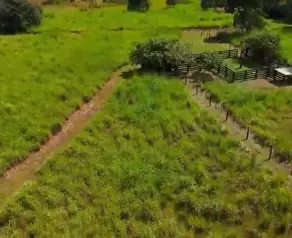 Imagem 5 - Fazenda em PONTE NOVA, Várzea Grande - MT