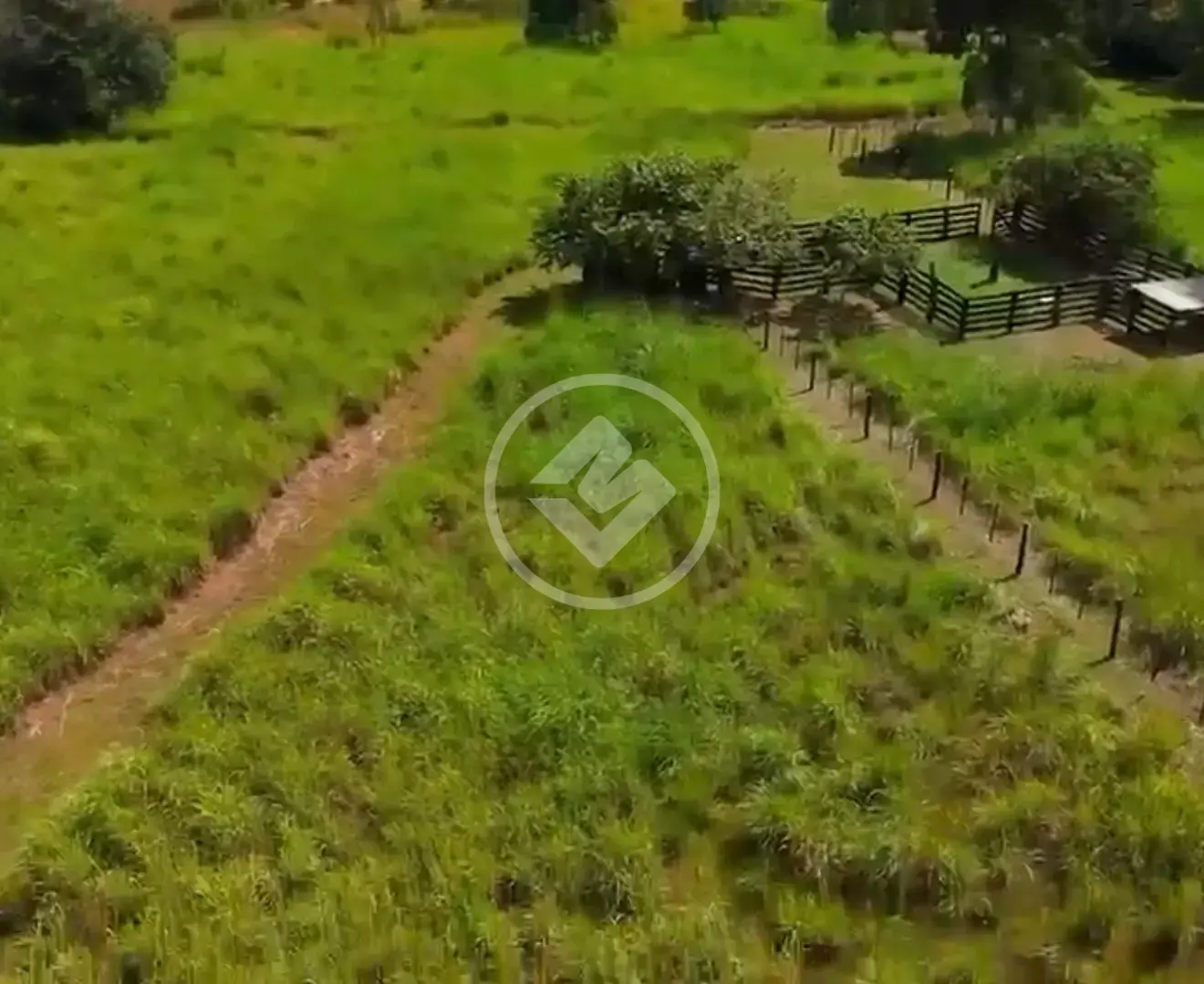 Imagem 5 - Fazenda em PONTE NOVA, Várzea Grande - MT