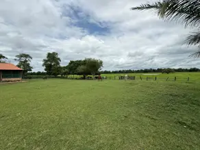Imagem 5 - Fazenda em Área Rural Poconé, Poconé - MT