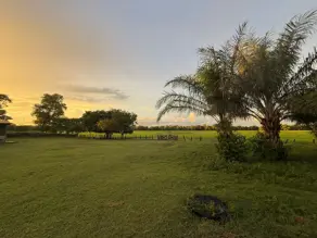 Fazenda Área Rural Poconé, Poconé - MT — foto 2