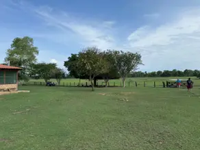 Imagem 6 - Fazenda em Área Rural Poconé, Poconé - MT