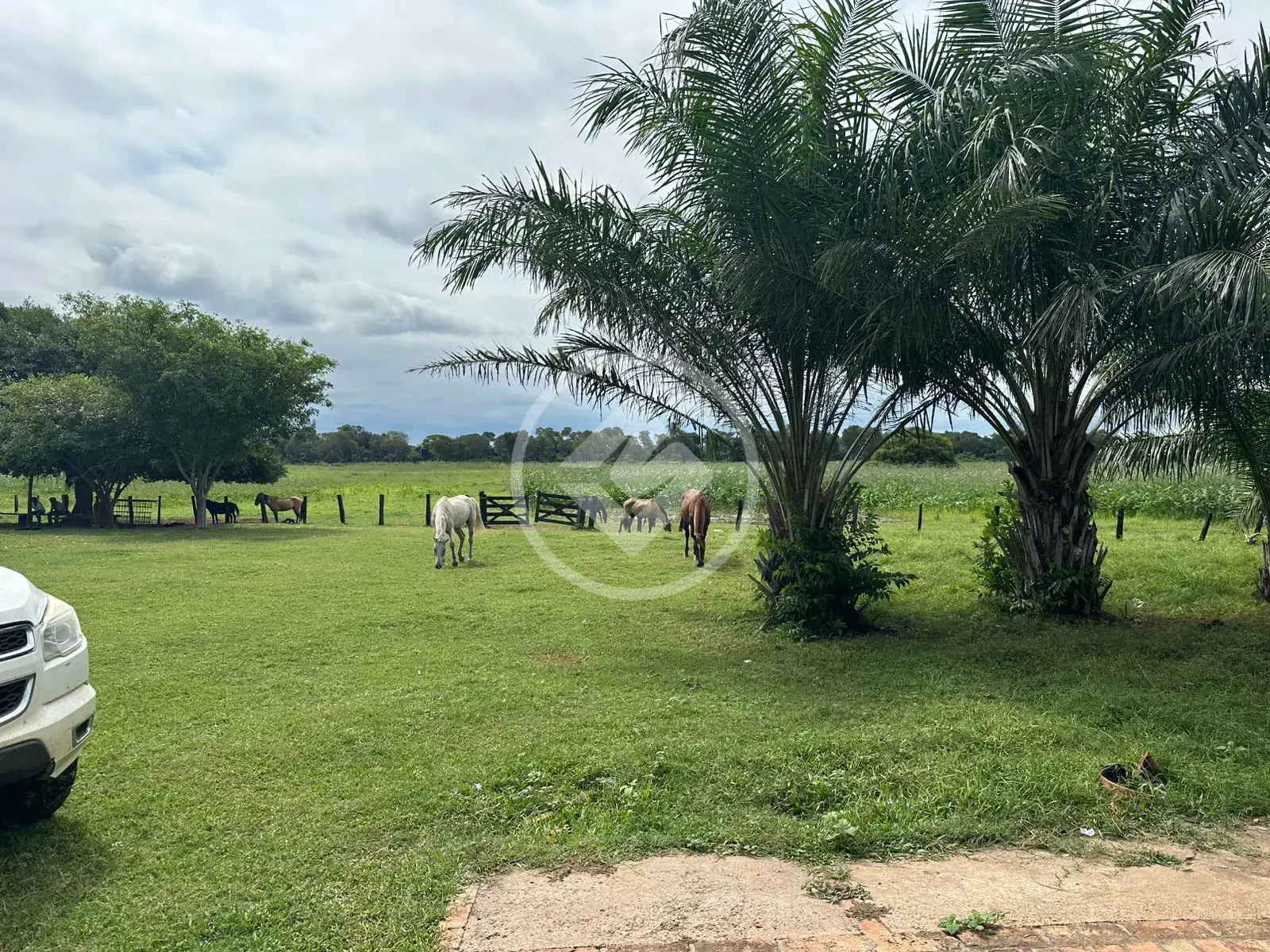 Image 16 - Fazenda em Área Rural Poconé, Poconé - MT