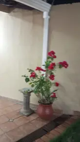 Imagem 3 - Casa em Cidade Alta, Cuiabá - MT
