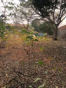 Terreno Lixeira, Cuiabá - MT — foto 2