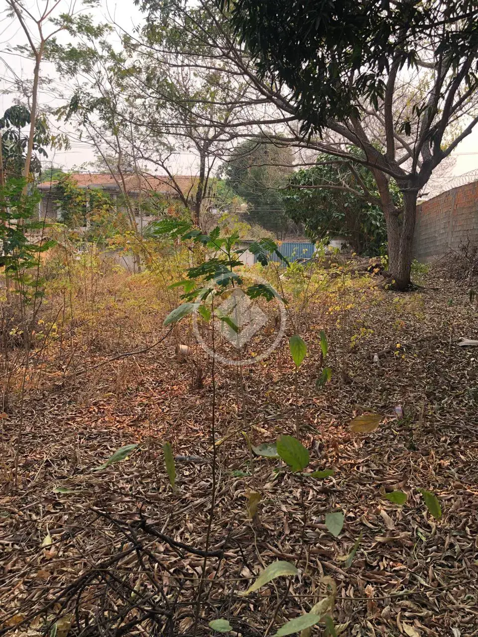 Imagem 1 - Terreno em Lixeira, Cuiabá - MT