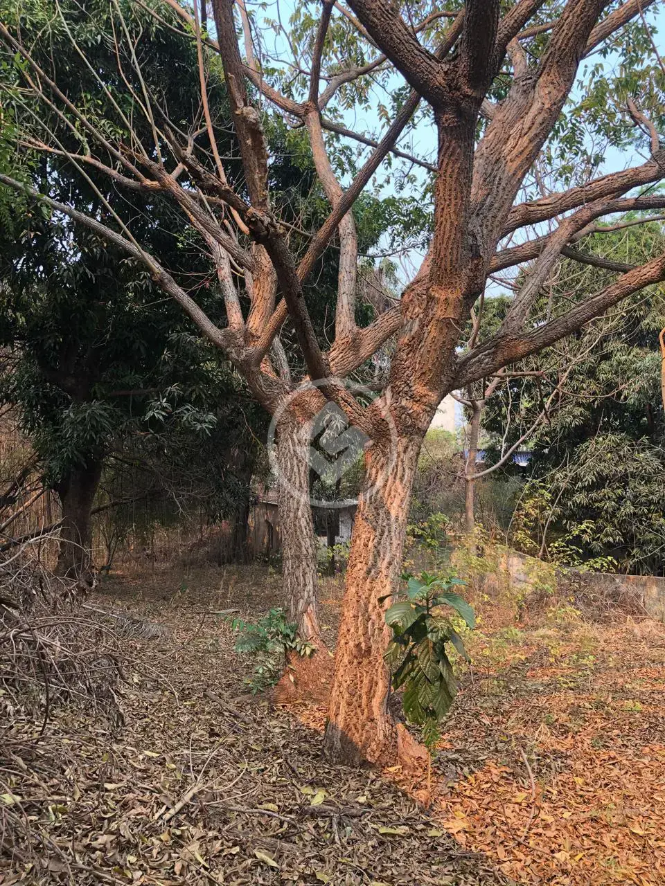 Imagem 2 - Terreno em Lixeira, Cuiabá - MT