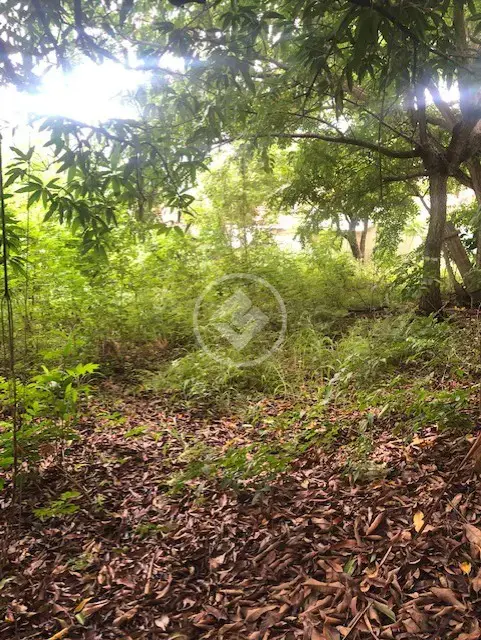 Imagem 3 - Terreno em Lixeira, Cuiabá - MT