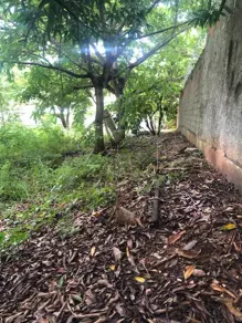 Imagem 4 - Terreno em Lixeira, Cuiabá - MT