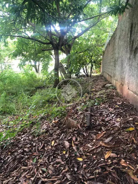 Imagem 4 - Terreno em Lixeira, Cuiabá - MT