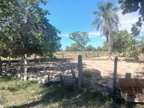 Imagem 3 - Sítio em Área Rural Poconé, Poconé - MT