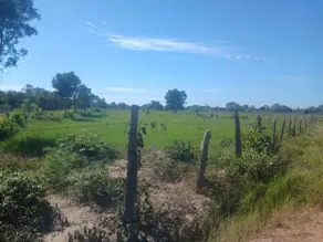 Sítio Área Rural Poconé, Poconé - MT — foto 2