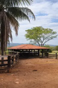 Fazenda Zona Rural, Acorizal - MT — foto 1