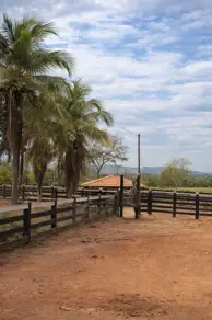 Fazenda Zona Rural, Acorizal - MT — foto 2