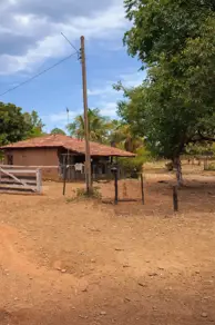 Imagem 2 - Fazenda em Zona Rural, Acorizal - MT