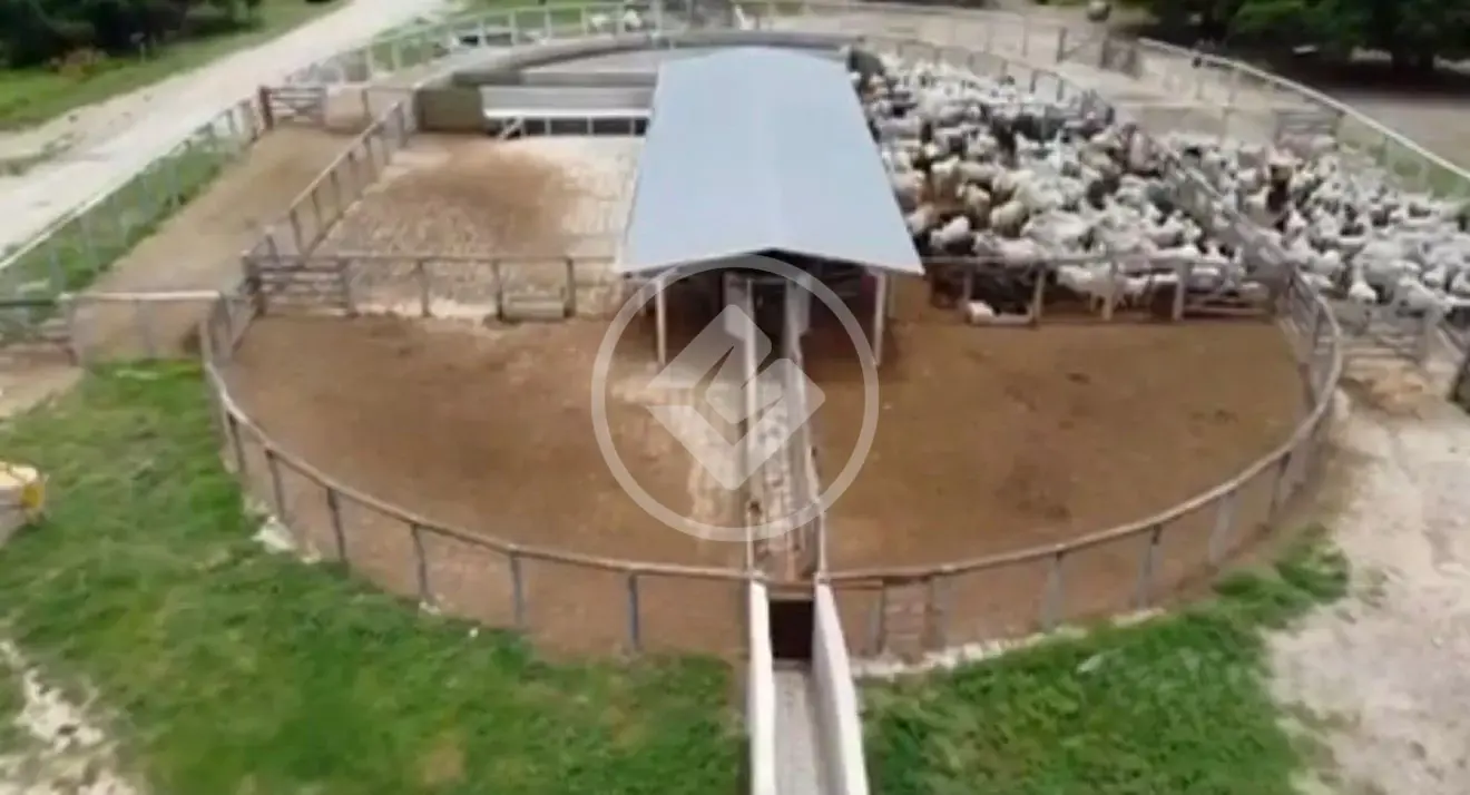 Imagem 3 - Fazenda em Aeroporto, Corumbá - MS