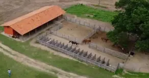 Imagem 5 - Fazenda em Aeroporto, Corumbá - MS