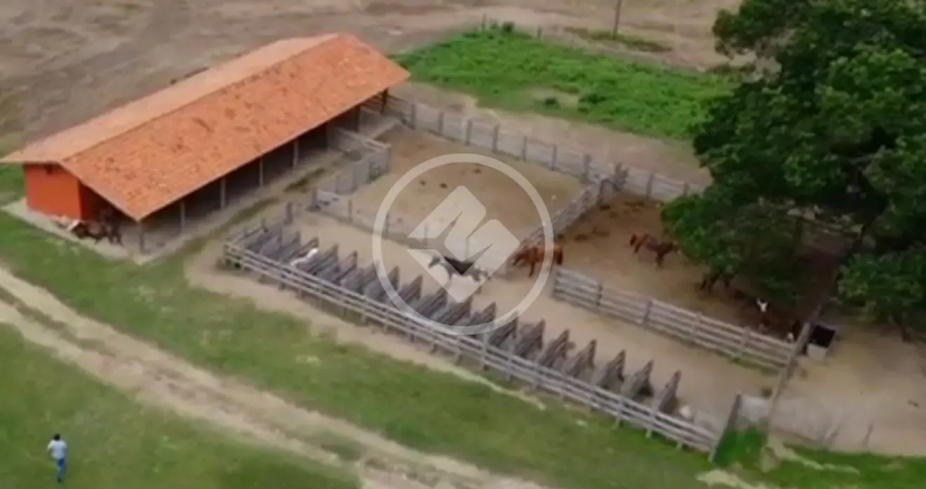 Imagem 5 - Fazenda em Aeroporto, Corumbá - MS