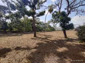 Imagem 3 - Terreno Comercial em Chácara dos Pinheiros, Cuiabá - MT