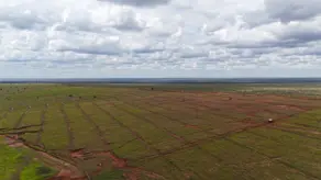 Fazenda Conquista D'Oeste, Conquista D'Oeste - MT — foto 1