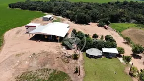 Imagem 6 - Fazenda em Centro, Tapurah - MT