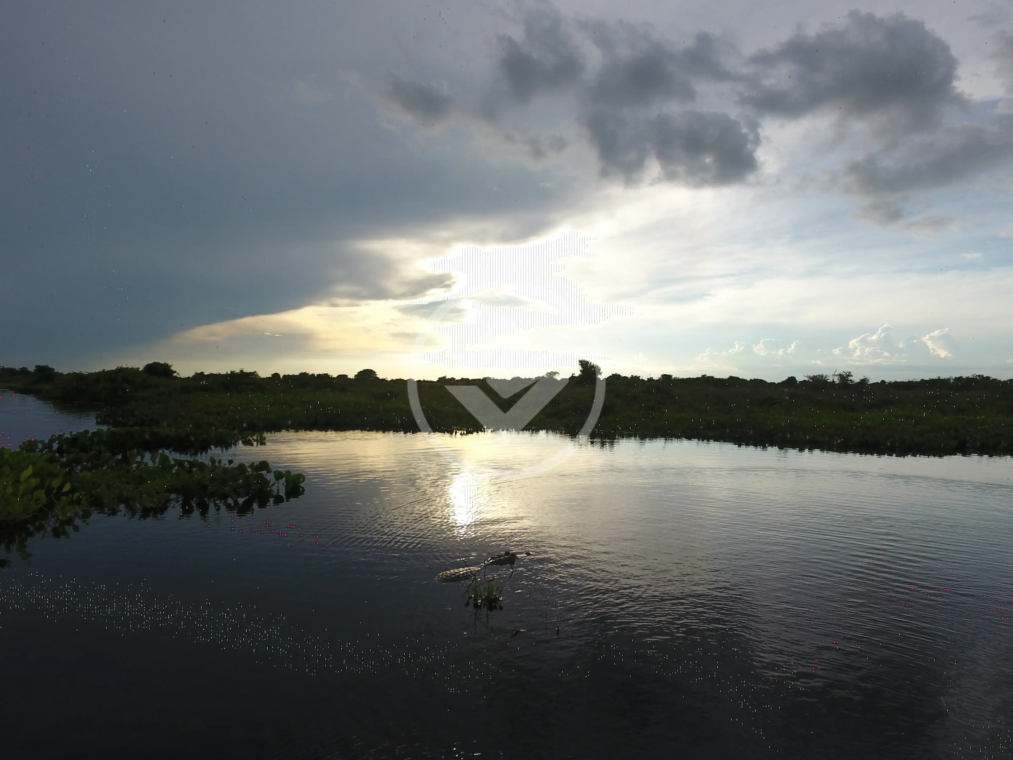 Image 12 - Fazenda em Centro, Poconé - MT