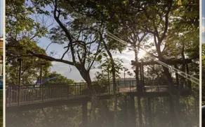 Terreno Condomínio CENTRO, Chapada dos Guimarães - MT — foto 2