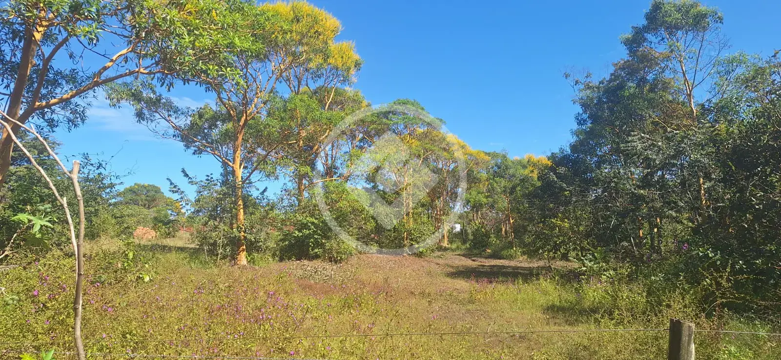 Image 4 - Terreno em ALDEIA VELHA, Chapada dos Guimarães - MT