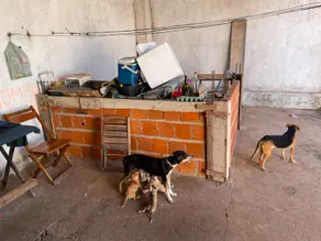 Imagem 6 - Casa em Petrópolis, Várzea Grande - MT