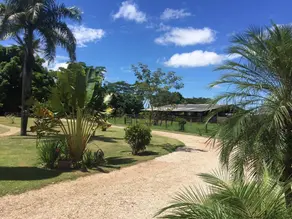 Fazenda Area Rural, Rosário Oeste - MT — foto 2