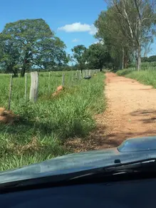 Imagem 5 - Fazenda em Area Rural, Rosário Oeste - MT