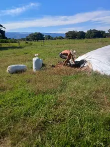 Imagem 6 - Sítio em Área Rural de Cuiabá, Cuiabá - MT
